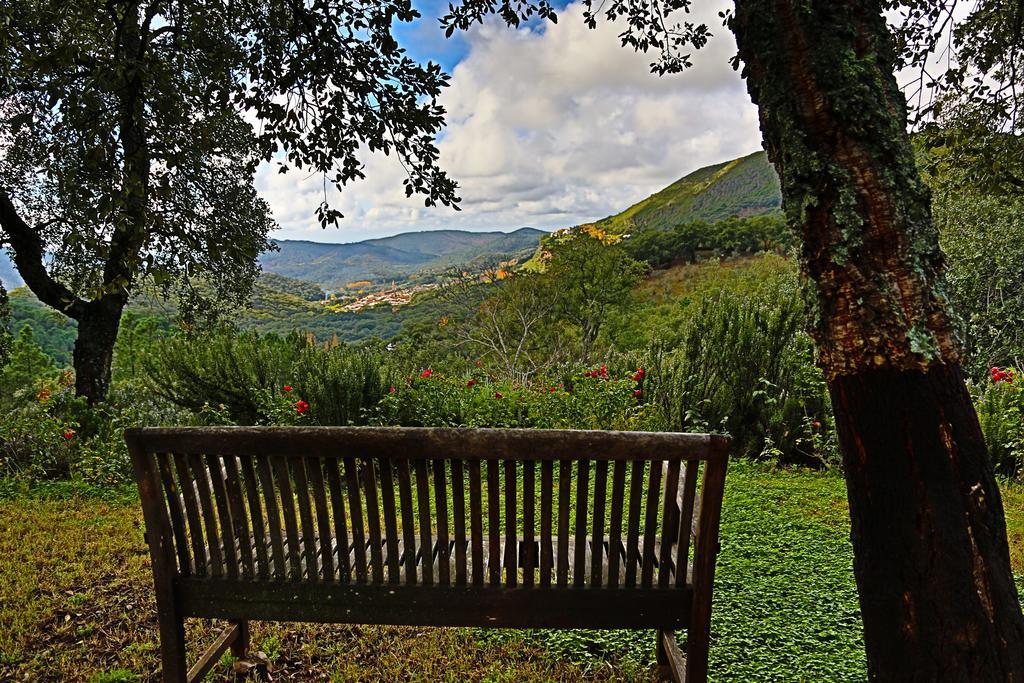 Guest house La Fronda 2*