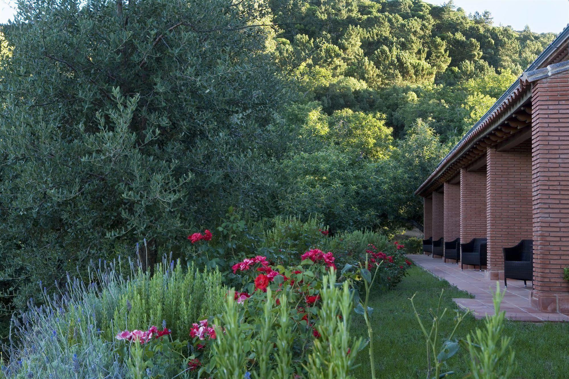 Guest house La Fronda 2*
