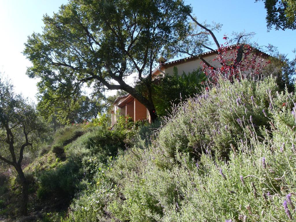 La Fronda Guest house 2*